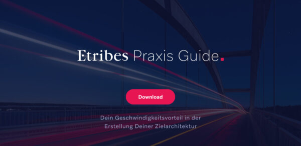 Thumb-Zielarchitektur-digital-etribes-insights-whitepaper-guide-leitfaden-Praxis_Guide
